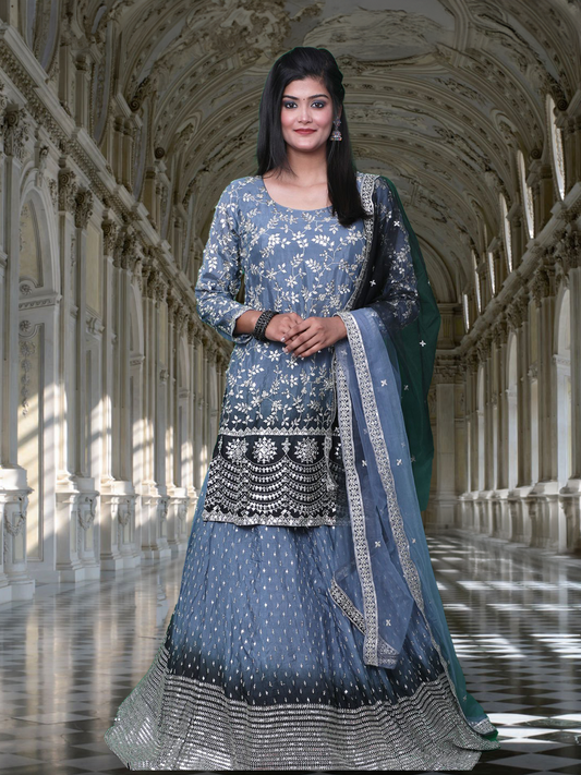 Lehenga RL-231201-04-1