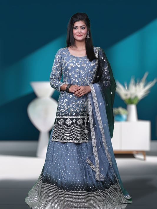Lehenga RL-231201-04-1-1